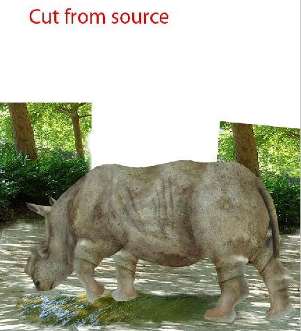 Creation of Rhino: Step 16